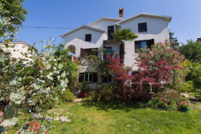 Apartment in Milcetici/Insel Krk 36148